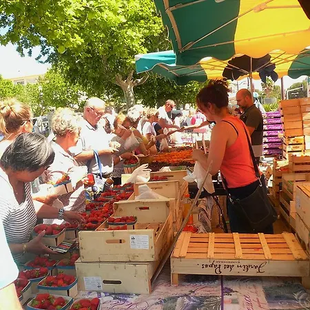 شقة Le Lezard Provencal *