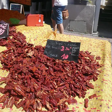 Le Lezard Provencal