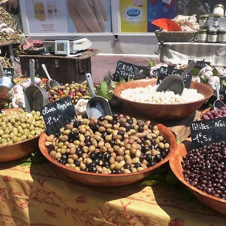 Le Lezard Provencal