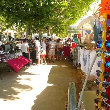 Le Lezard Provencal